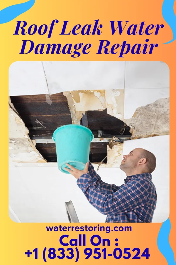 Roof Leak Water Damage Repair in Wickett, TX