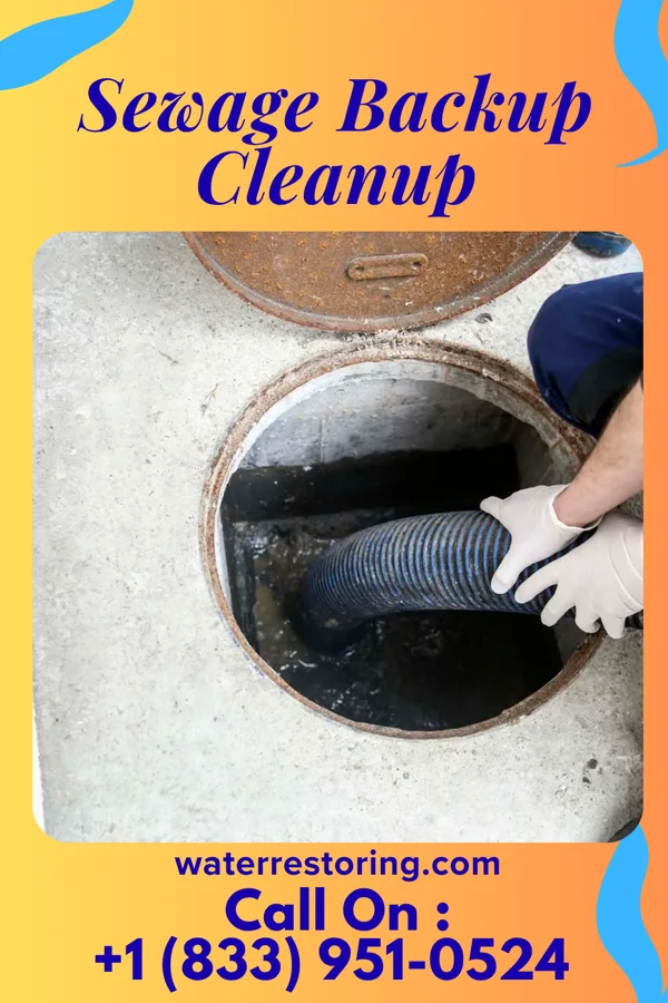 Sewage Backup Cleanup in Wickett, TX